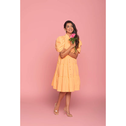 The Daisy Day dress