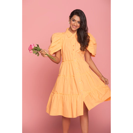The Daisy Day dress