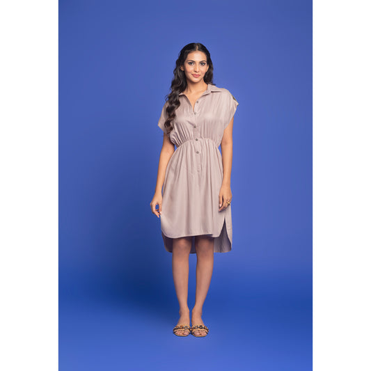 The Frosted Fig dress